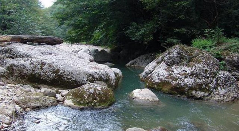  نارنج بن شیرگاه شهرستان مازندران استان شیرگاه