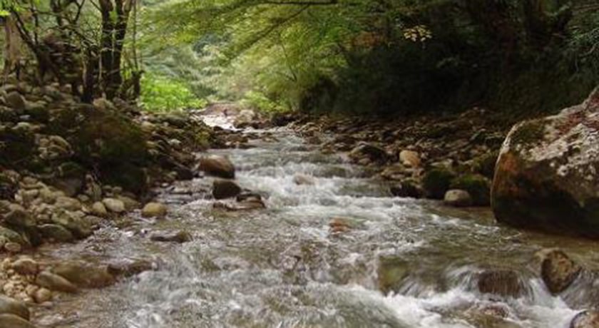  نارنج بن شیرگاه شهرستان مازندران استان شیرگاه