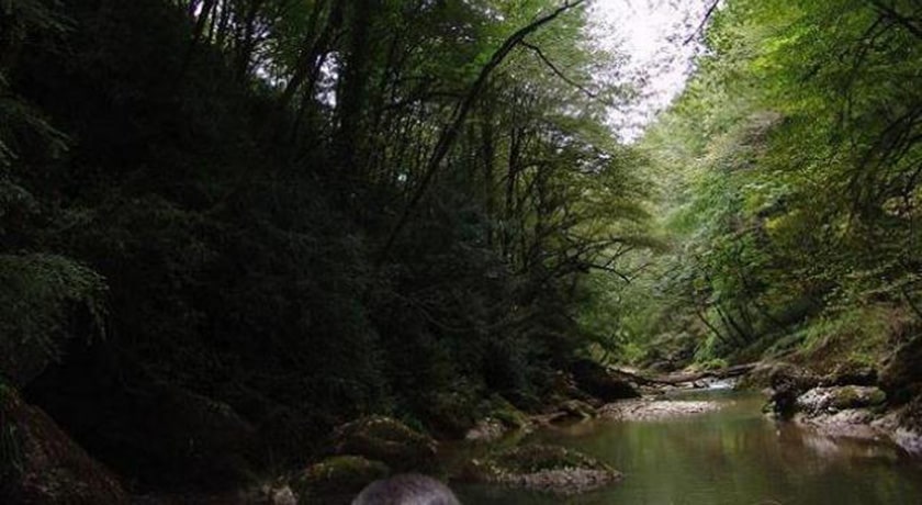  نارنج بن شیرگاه شهرستان مازندران استان شیرگاه