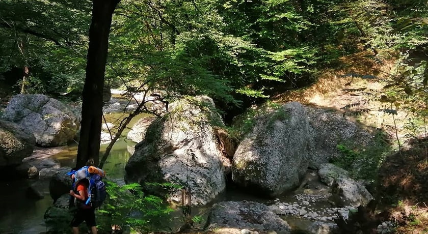  نارنج بن شیرگاه شهرستان مازندران استان شیرگاه