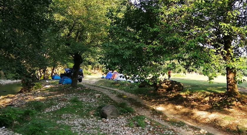  نارنج بن شیرگاه شهرستان مازندران استان شیرگاه