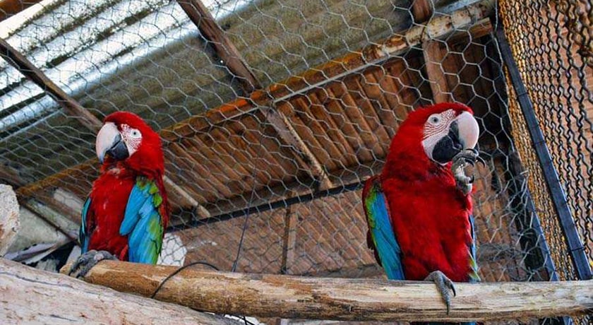  باغ پرندگان آستارا شهر گیلان استان آستارا