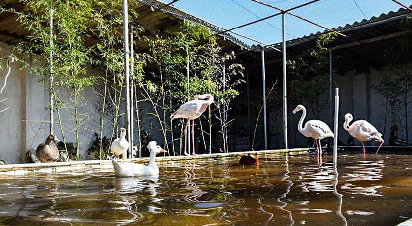  باغ پرندگان آستارا شهر گیلان استان آستارا