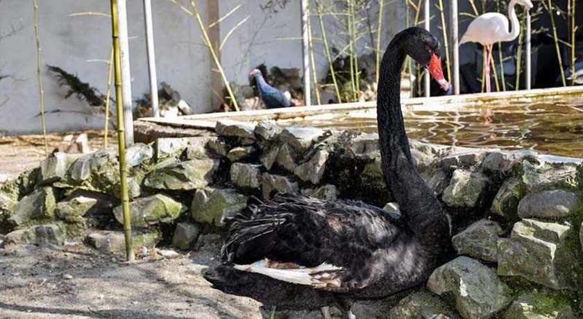  باغ پرندگان آستارا شهر گیلان استان آستارا