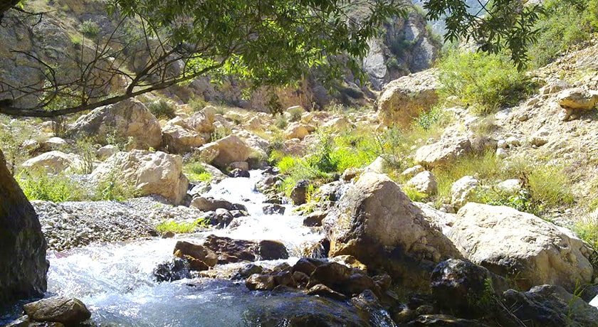  آبشار شاهان دشت شهرستان مازندران استان آمل