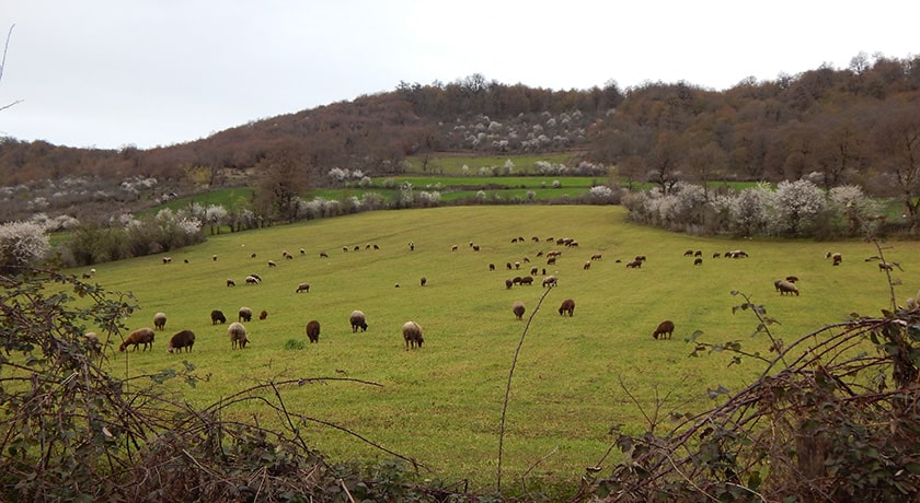  روستای مولا شهرستان مازندران استان ساری