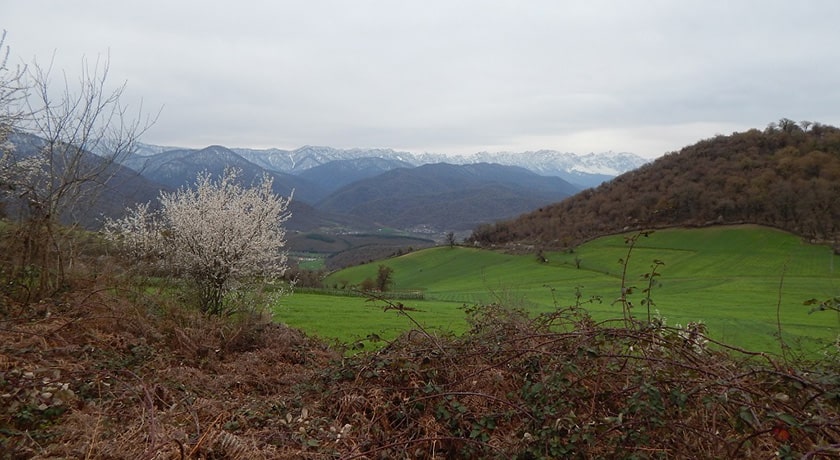  روستای مولا شهرستان مازندران استان ساری