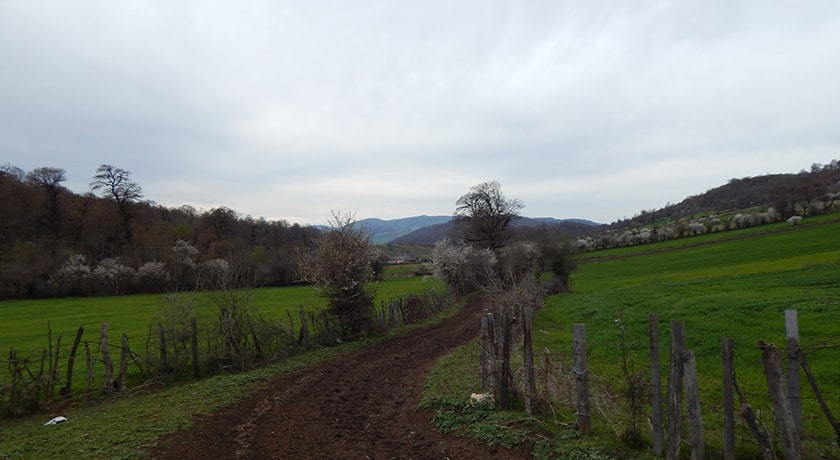  روستای مولا شهرستان مازندران استان ساری