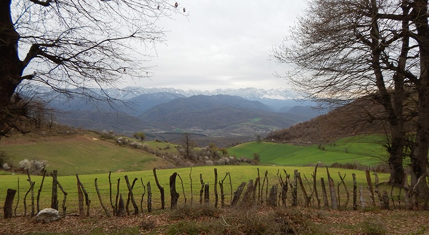  روستای مولا شهرستان مازندران استان ساری