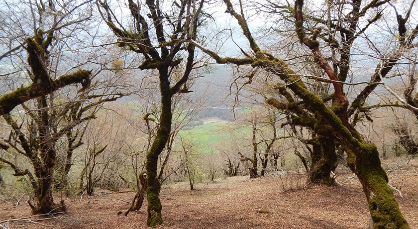  روستای مولا شهرستان مازندران استان ساری
