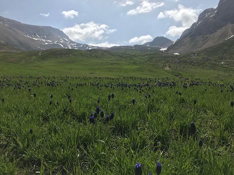  قله امیری شهرستان مازندران استان آمل