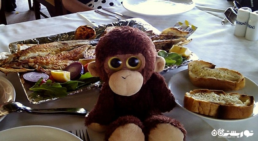 رستوران رستوران سلما شهر کوش آداسی 