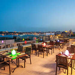 نیدیا روف کافه