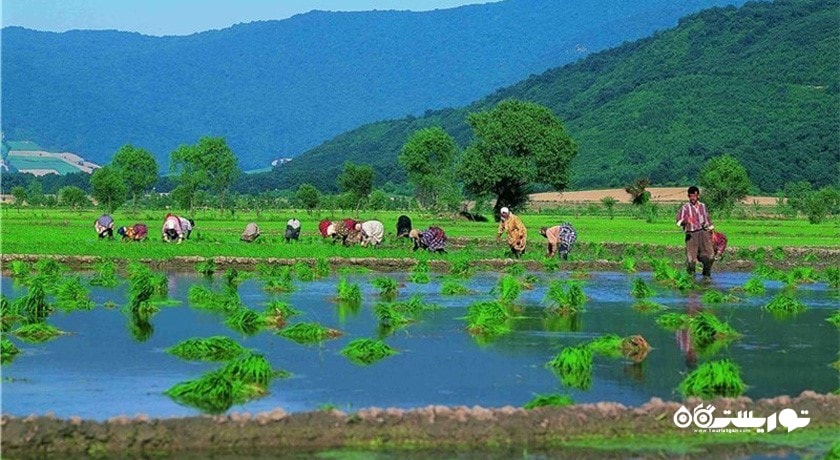 استان گلستان در کشور ایران - توریستگاه