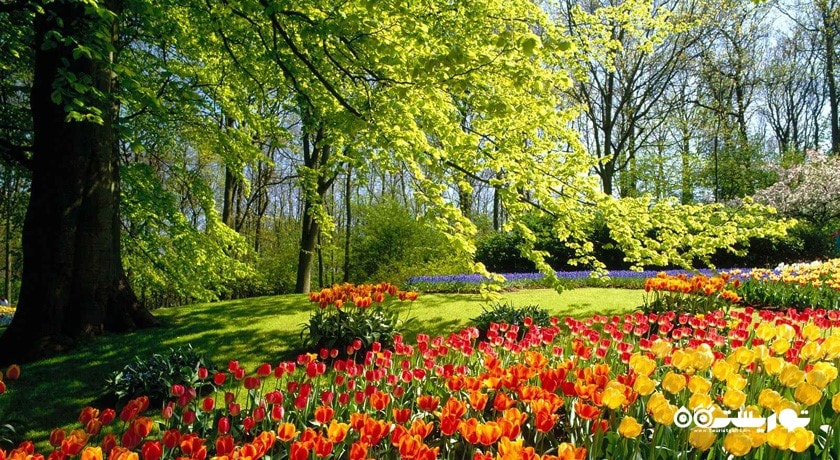 استان گلستان در کشور ایران - توریستگاه