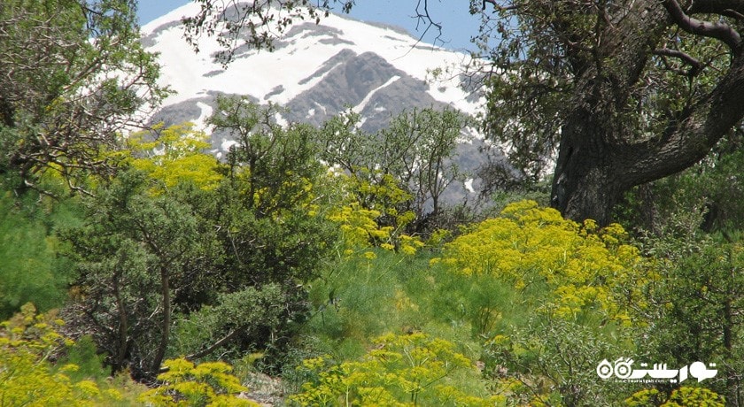 استان کهگیلویه و بویر احمد در کشور ایران - توریستگاه