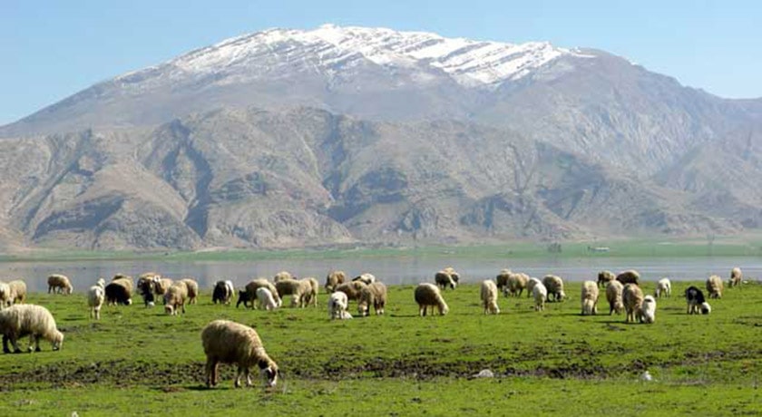 شهر ایذه در استان خوزستان - توریستگاه