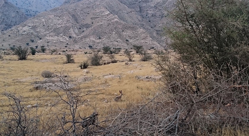 شهر بهبهان در استان خوزستان - توریستگاه