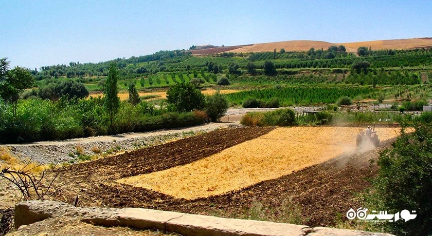 شهر بروجرد در استان لرستان - توریستگاه