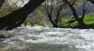 شهر دورود در استان لرستان - توریستگاه