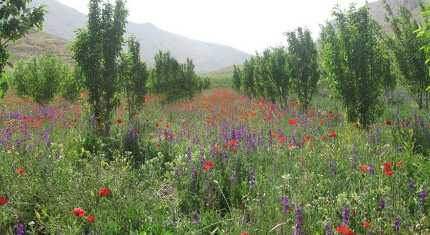 شهر سمیرم در استان اصفهان - توریستگاه