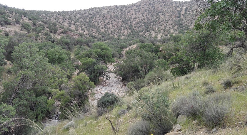 شهر بافت در استان کرمان - توریستگاه