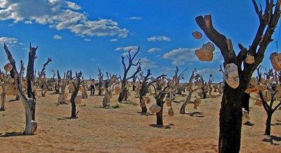 شهر سیرجان در استان کرمان - توریستگاه