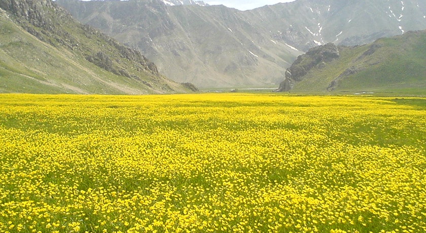 شهر آمل در استان مازندران - توریستگاه