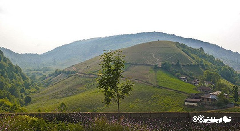 شهر پل سفید در استان مازندران - توریستگاه