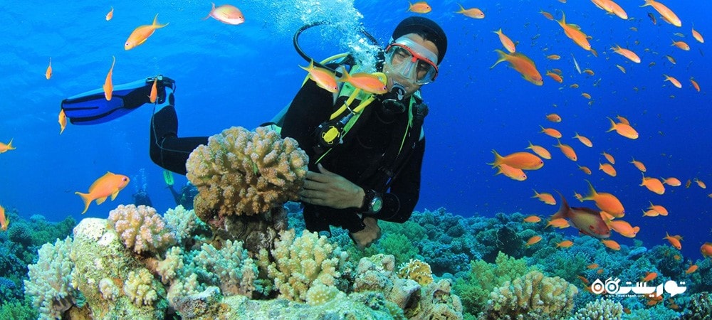 شهر کیش در استان هرمزگان - توریستگاه