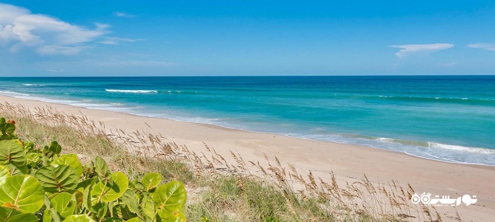 شهر کیش در استان هرمزگان - توریستگاه