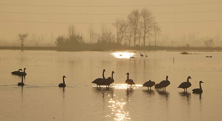 شهر محمود آباد	 در استان مازندران - توریستگاه