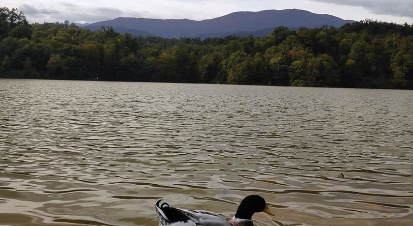 شهر نور در استان مازندران - توریستگاه