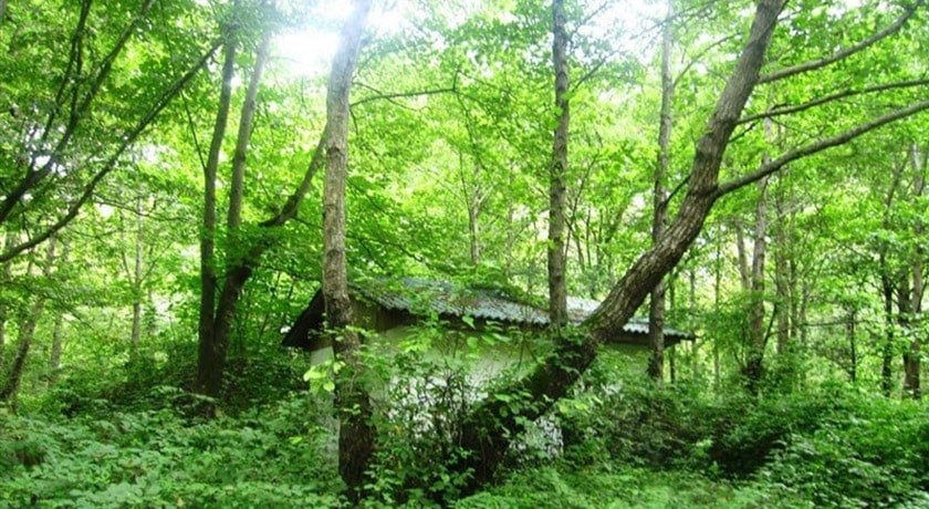 شهر نور در استان مازندران - توریستگاه