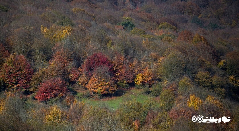 شهر شیرگاه در استان مازندران - توریستگاه