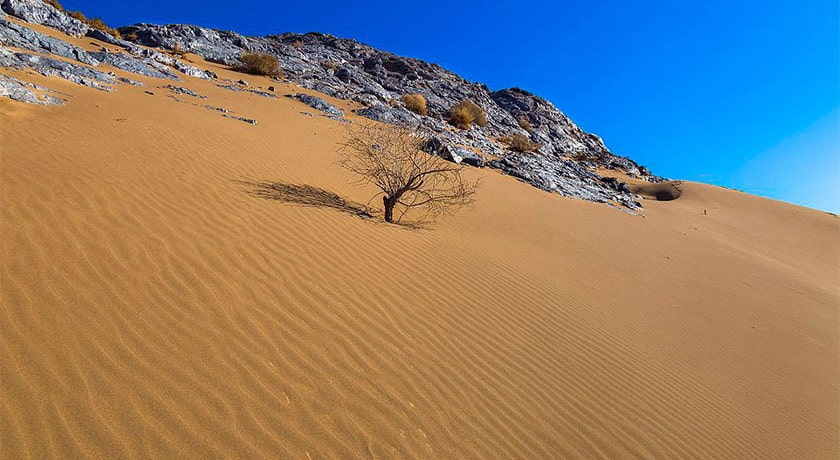شهر فردوس در استان خراسان جنوبی - توریستگاه