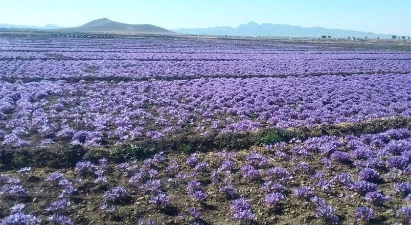شهر فردوس در استان خراسان جنوبی - توریستگاه