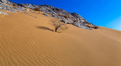 شهر فردوس در استان خراسان جنوبی - توریستگاه