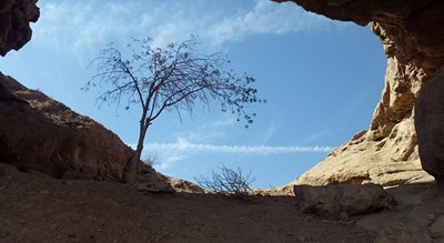 شهر فردوس در استان خراسان جنوبی - توریستگاه