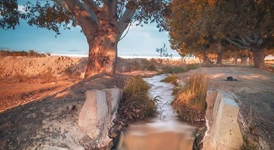 شهر فردوس در استان خراسان جنوبی - توریستگاه