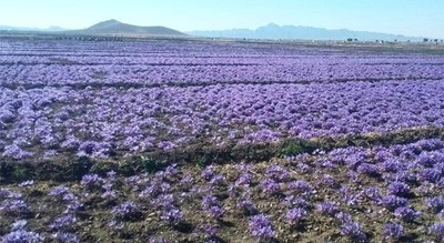 شهر فردوس در استان خراسان جنوبی - توریستگاه