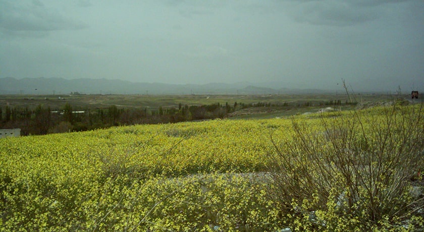 شهر زنجان در استان زنجان - توریستگاه