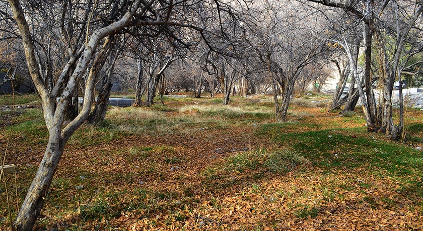 شهر نی ریز	 در استان فارس - توریستگاه