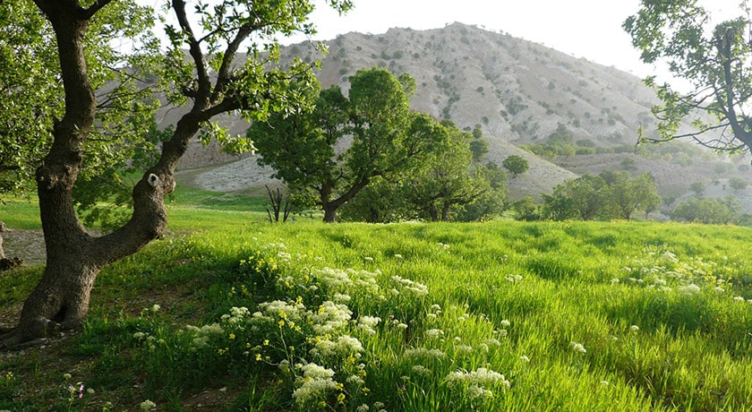 شهر آبدانان	 در استان ایلام - توریستگاه