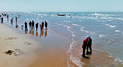 شهر دیلم در استان بوشهر - توریستگاه