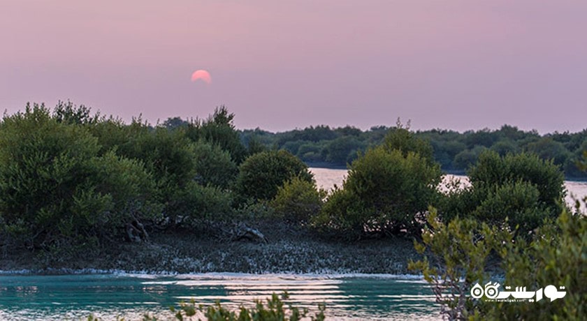 شهر قشم در استان هرمزگان - توریستگاه