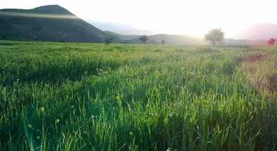 شهر لنده در استان کهگیلویه و بویر احمد - توریستگاه