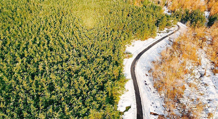 شهر صومعه سرا	 در استان گیلان - توریستگاه