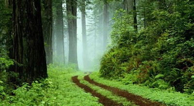 شهر صومعه سرا	 در استان گیلان - توریستگاه