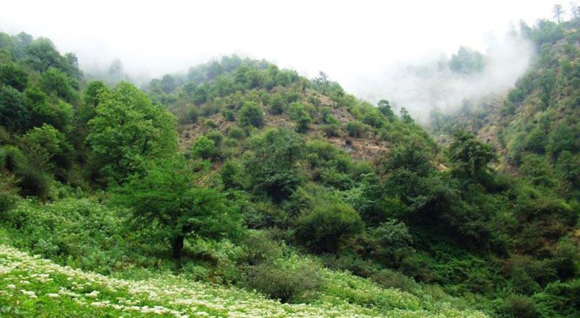 شهر فومن	 در استان گیلان - توریستگاه